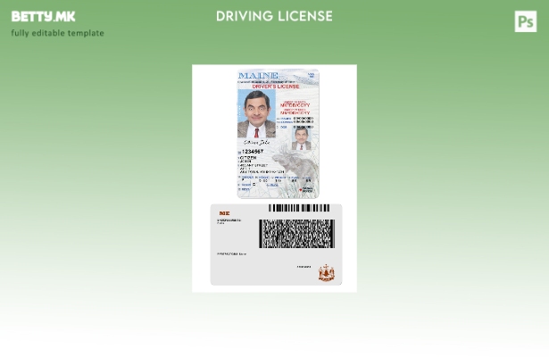 Возачка дозвола во модерен стил САД Мејн под шаблон